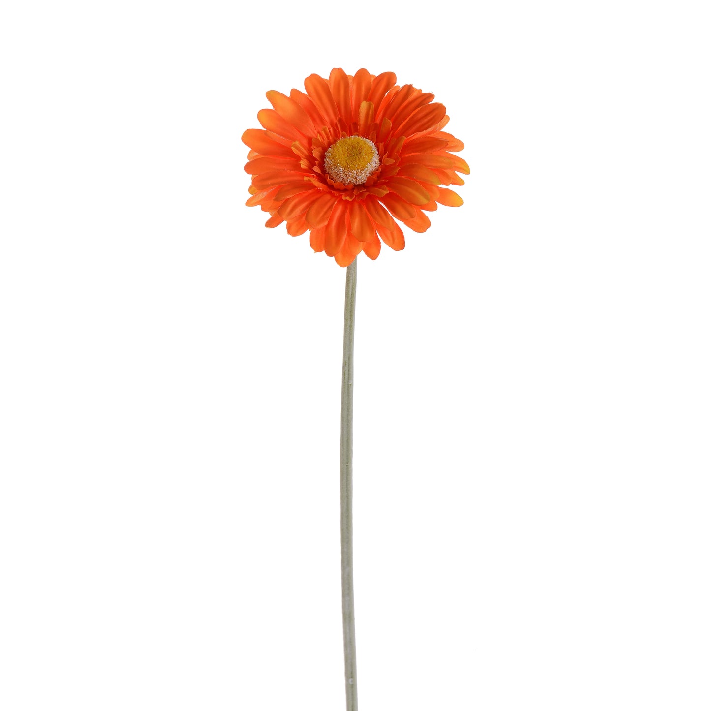 GERBERA 53 CM