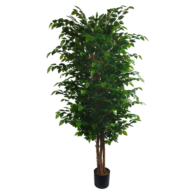PIANTA FIGUS H180CM PVC