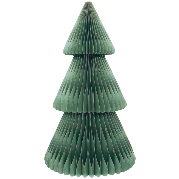 CF. 1 DEC. CARTA ALBERO SALVIA H CM 100