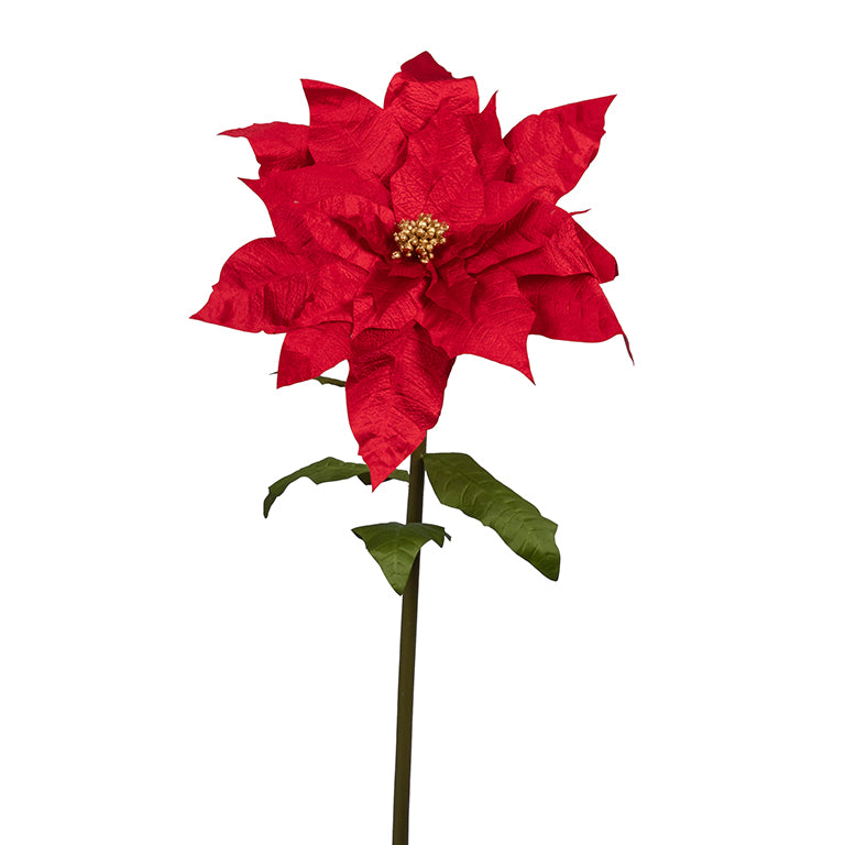 STELLA NATALE ROSSA PISTILLO ORO D70 H15