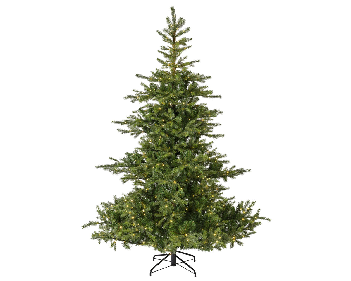 Grandis fir Micro LED indoor