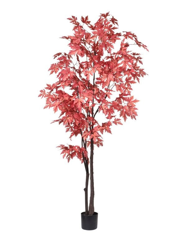 PIANTA ACERO CM180 C/294 FOGLIE
