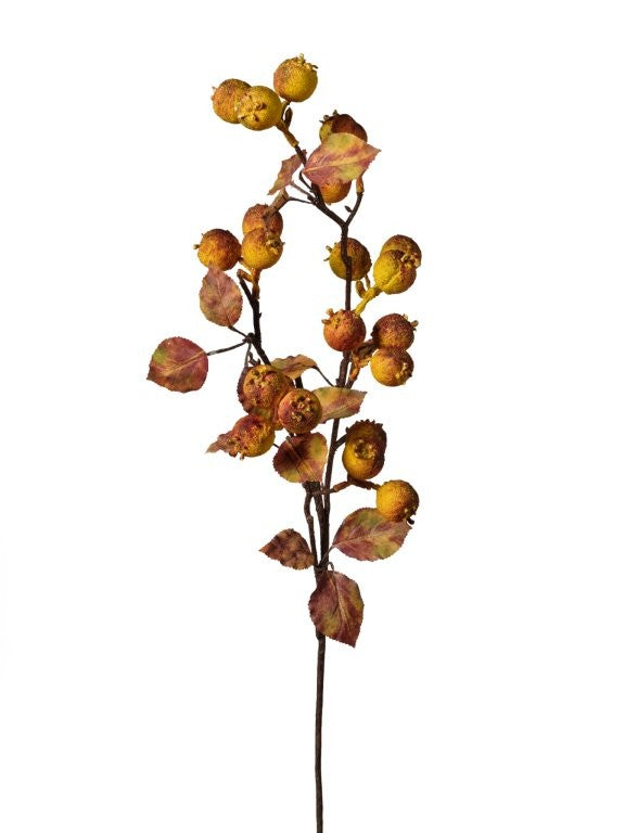 RAMO BACCHE 81 CM
