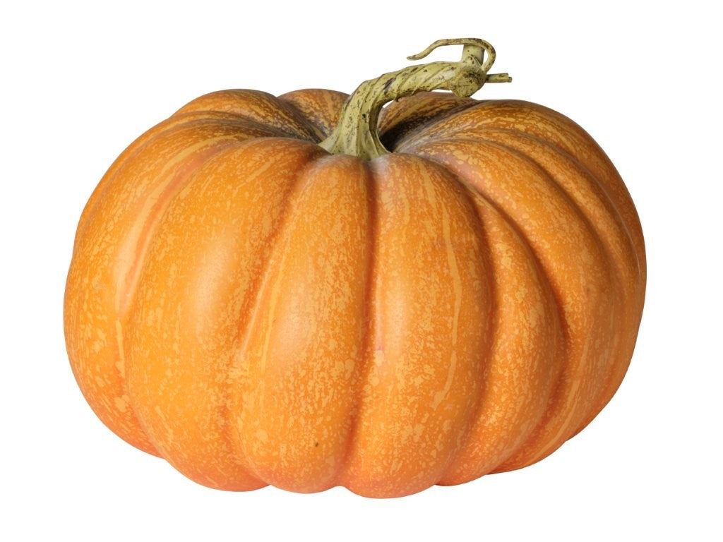 ZUCCA 22*22*14,5 CM