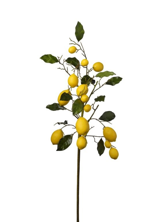 RAMO LIMONI CM 90
