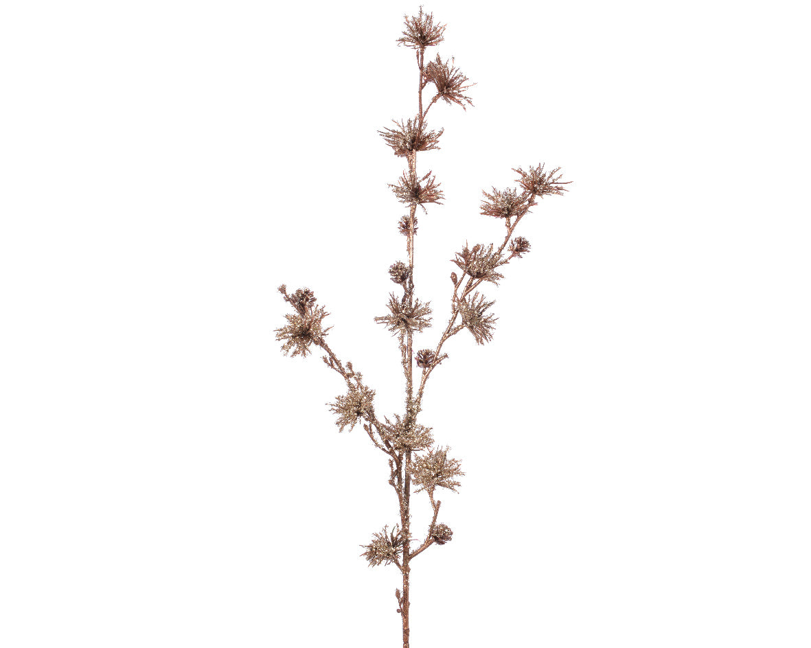 PLC PINE CONE SPRAY