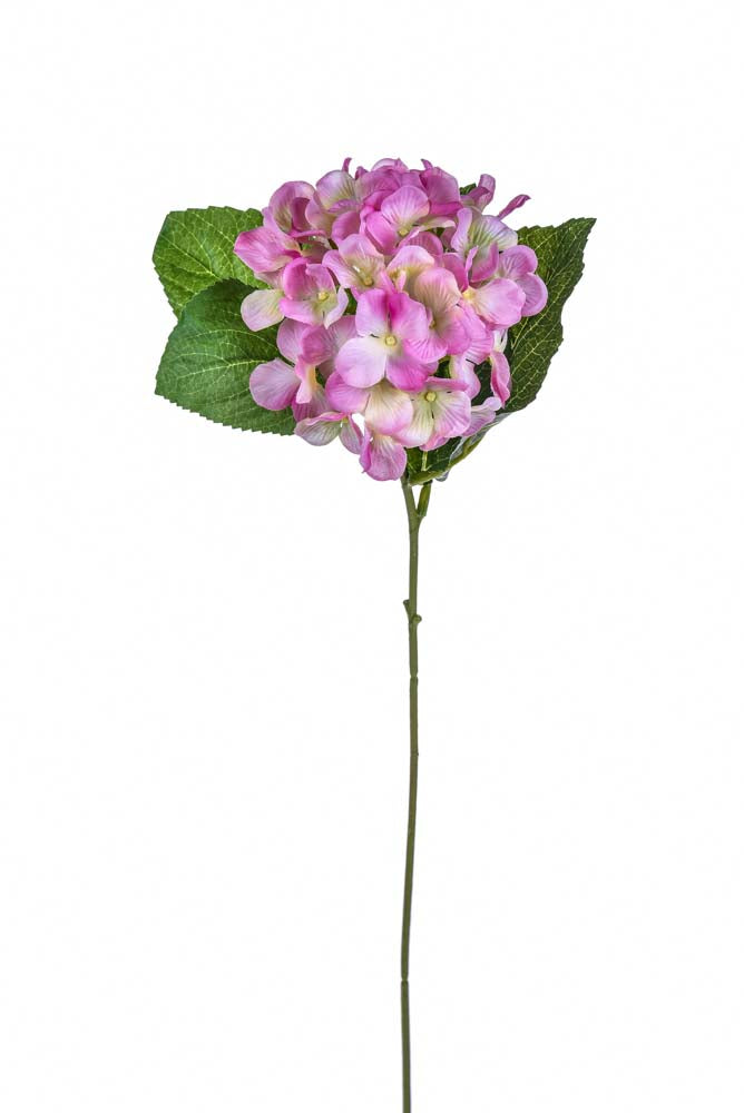 ORTENSIA 4 LVS 62 CM