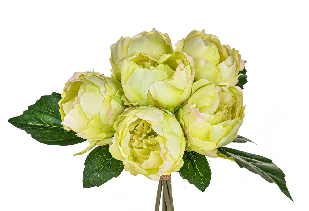 MAZZO PEONIE X 6 28 CM
