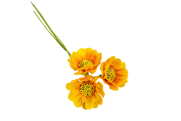 FIORE GIRASOLE *216-36