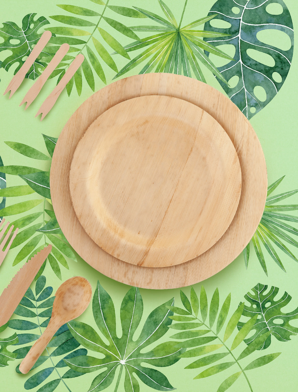 CF. 20 PIATTI IN BAMBOO CM 23