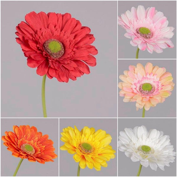 RAMO GERBERA CM 60