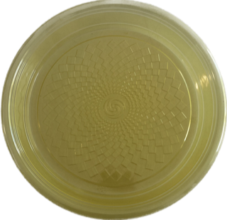 PIATTO DESSERT TRASP/GIALLO D.170