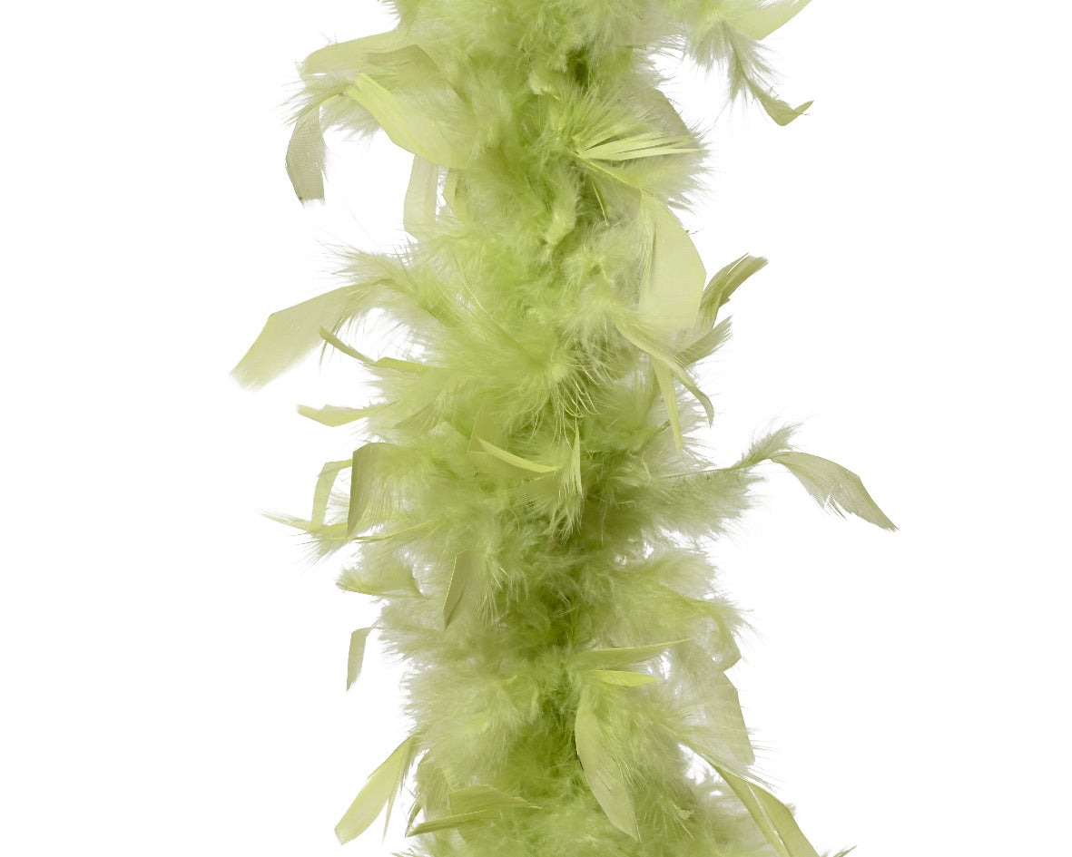 Boa feather