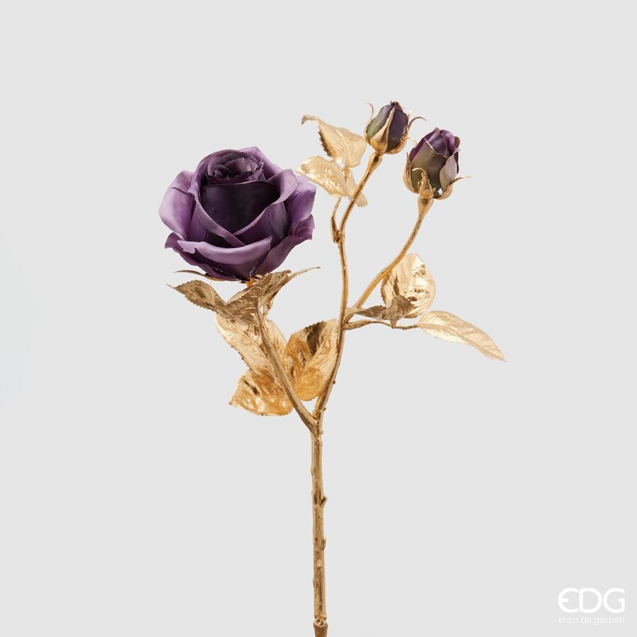 ROSA RAMOX3 STELO-ORO H50 C2