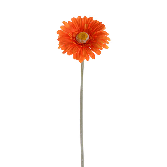 GERBERA 53 CM