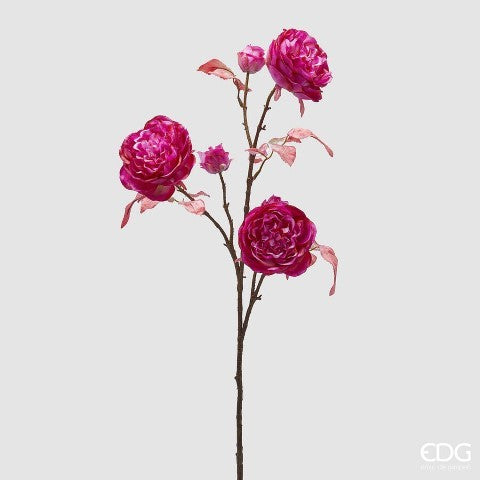ROSA RAMO X3 CON BOCCIOLO H.100 C4