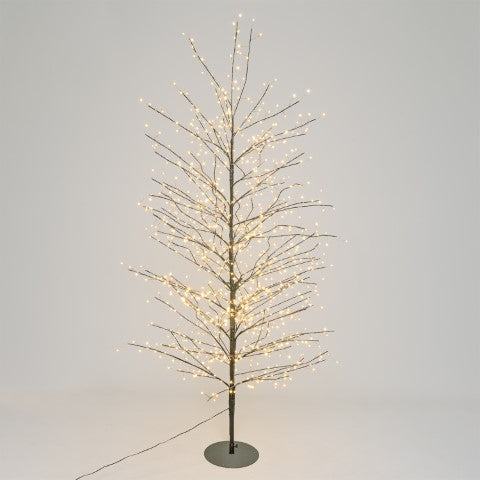 Albero Ramo TIGLIO Marrone H200cm 1120 M
