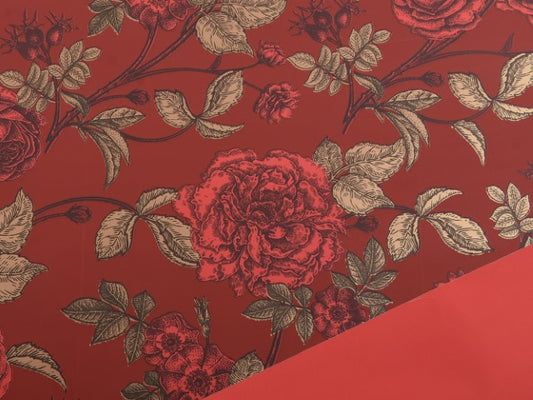 bobina rosa canina 1x25m rosso