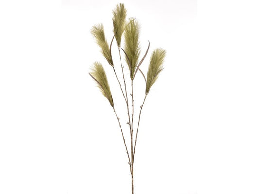 pampas ramo x5, 129cm verde