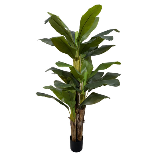 PIANTA BANANO H200CM PVC
