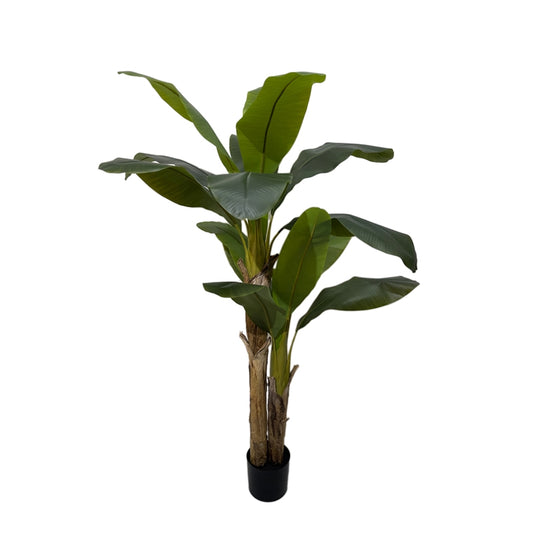 PIANTA BANANO H1700CM PVC