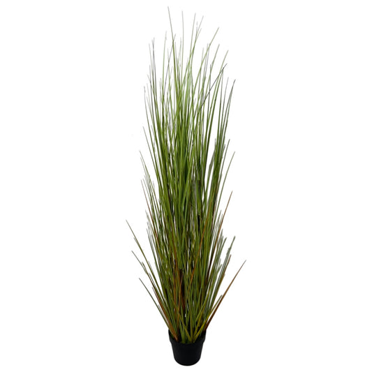 PIANTA GRASS  H150CM PVC