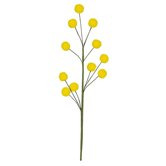 PICK MIMOSA & LEAVES FLOWERS