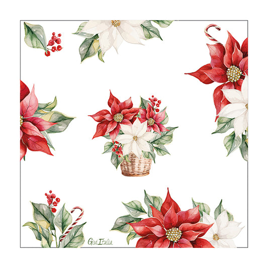 CF.16 TOVAGLIOLI STELLA DI NATALE CM 33X