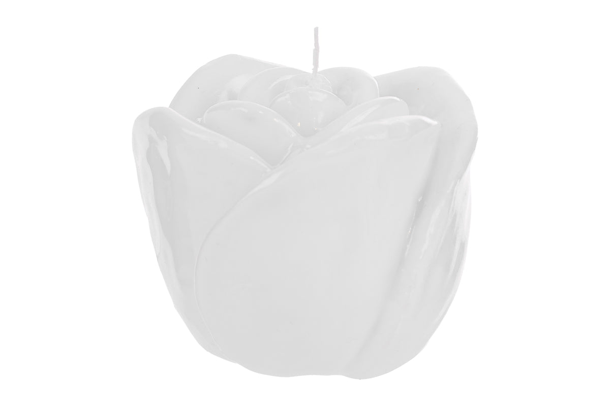CANDELA ROSA BIANCO D8X7.5