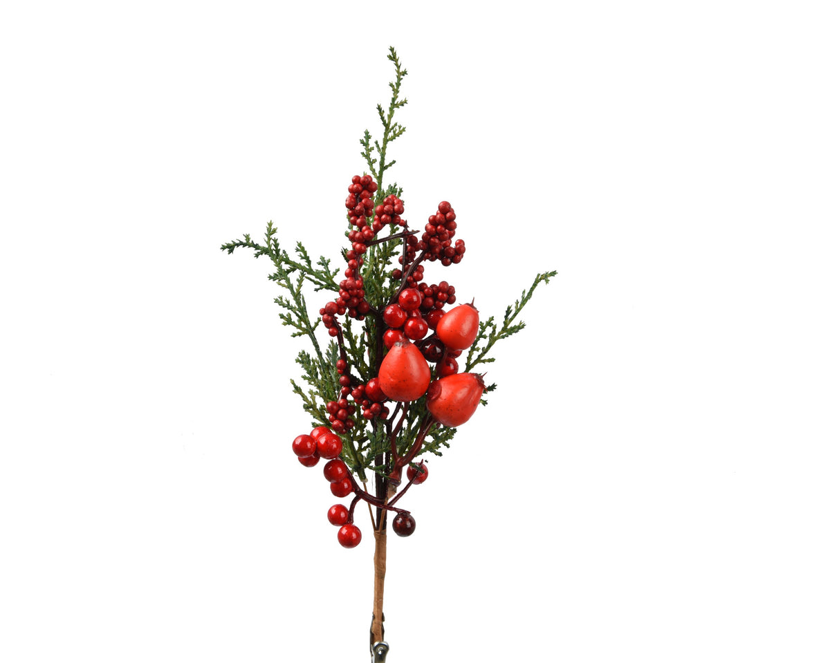 Big berry clip red berries binnen