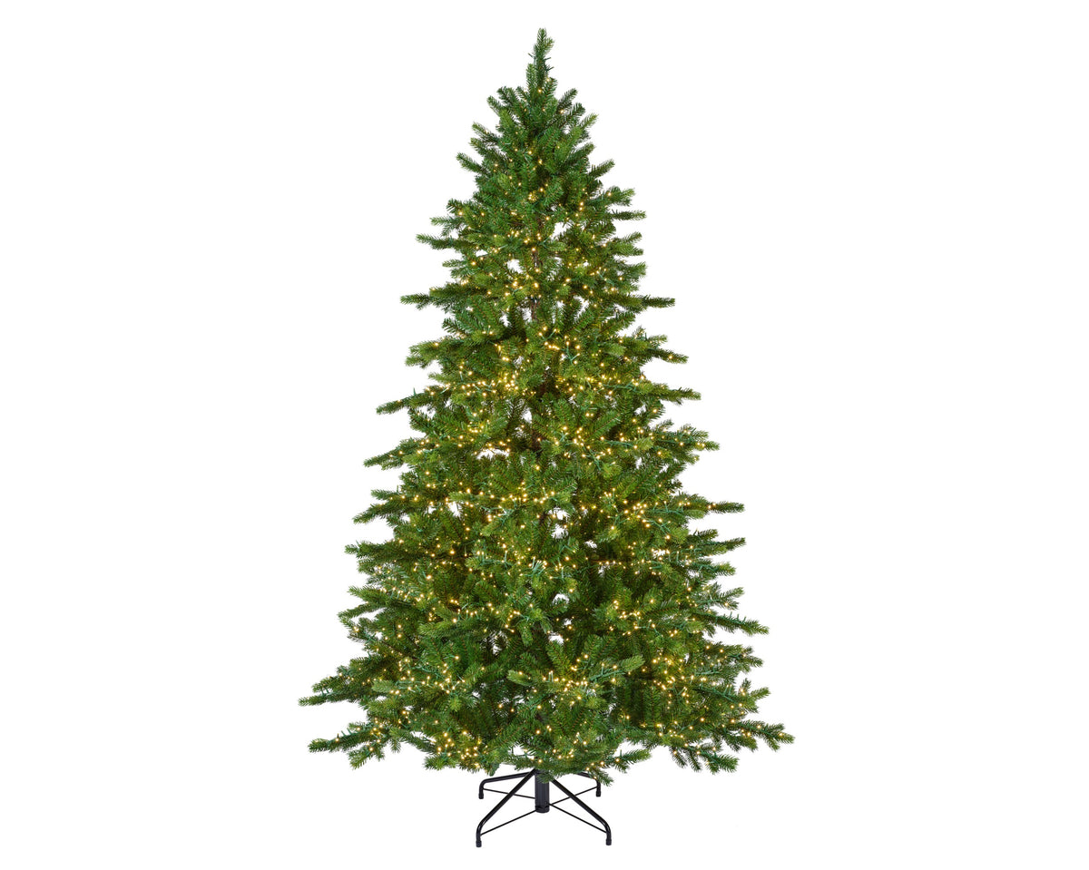 Galloway spruce LED indoor