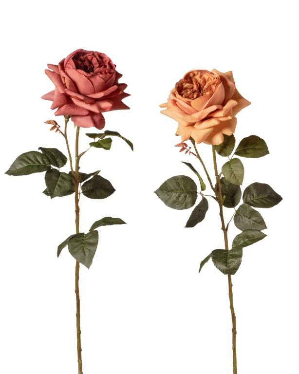 RAMO ROSA INGLESE SG.CM 68