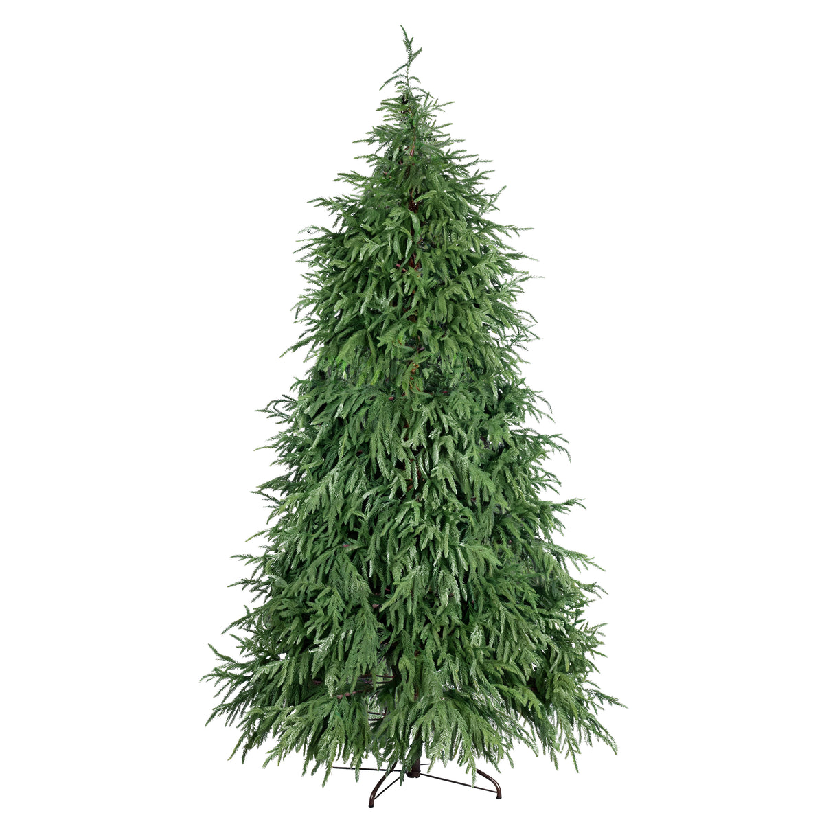 MONTEREY PE TREE 210cm