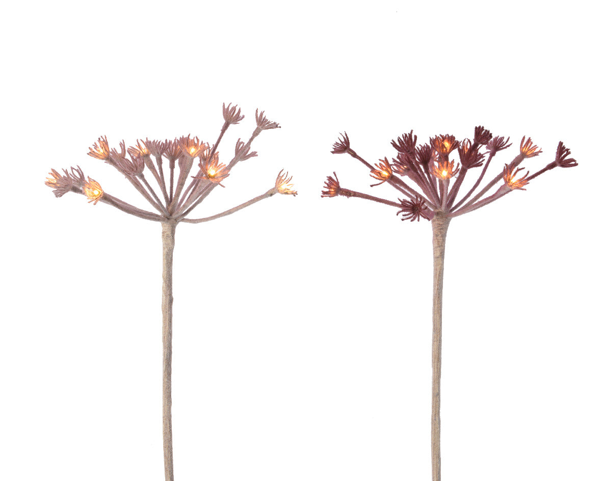 LED HOGWEED BRANCH 2 ASS IN BO