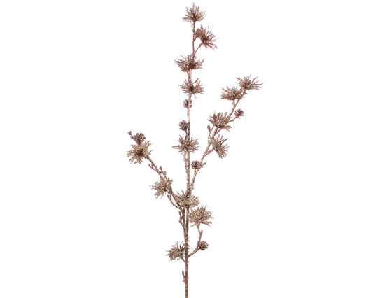 PLC PINE CONE SPRAY