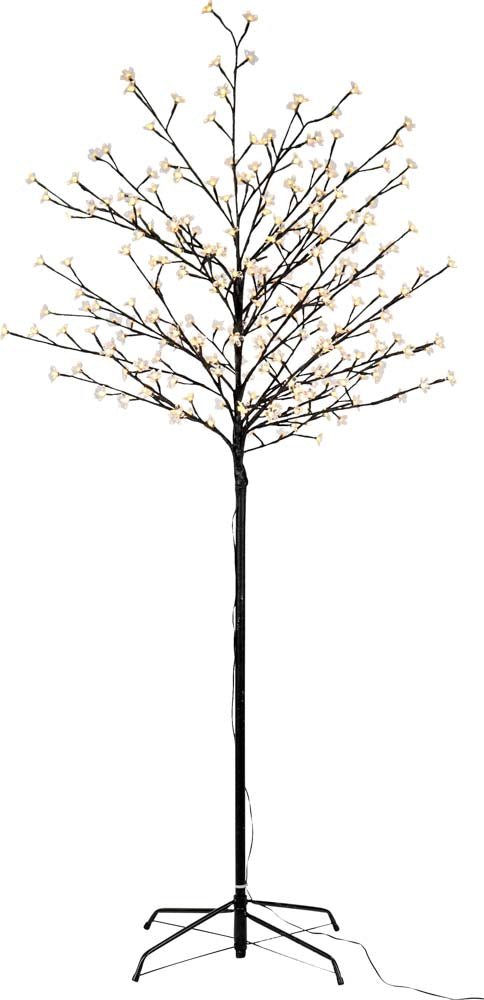 ALBERO "FESTIVAL"