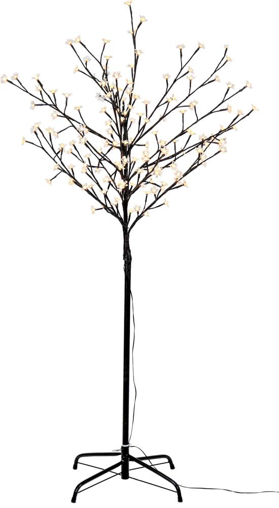 ALBERO "FESTIVAL"
