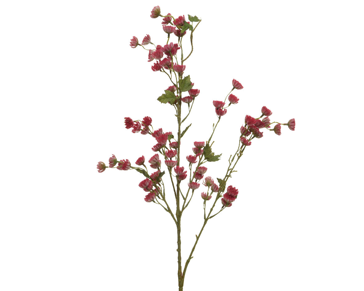 RAMO CON FIORI