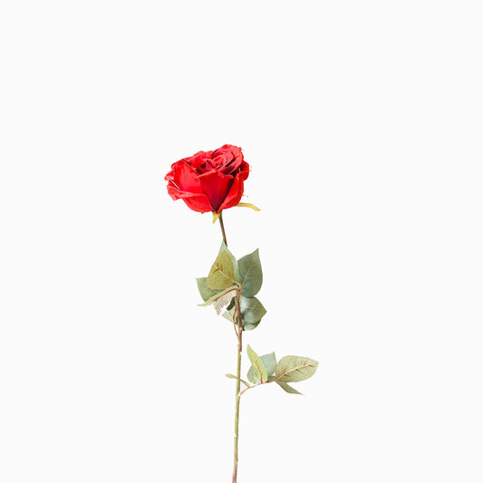 ROSA CALISTA ROSSA 72 CM