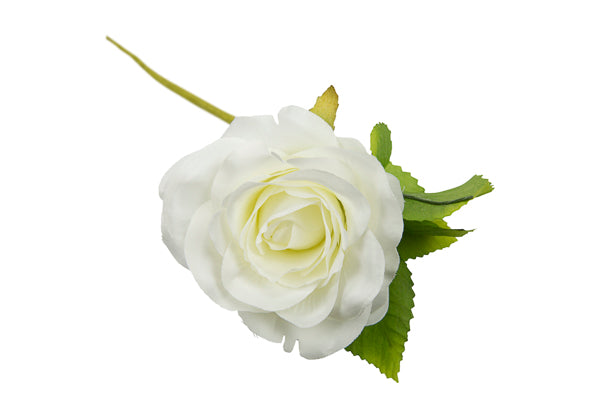 ROSA C/FOGLIA *48-6 PANNA