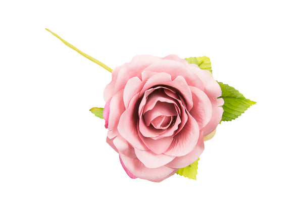 ROSA C/FOGLIA *48-6 ROSA ANTICO