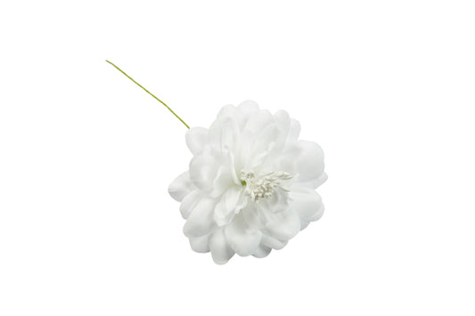 FIORE NINFEA*60-6 BIANCO