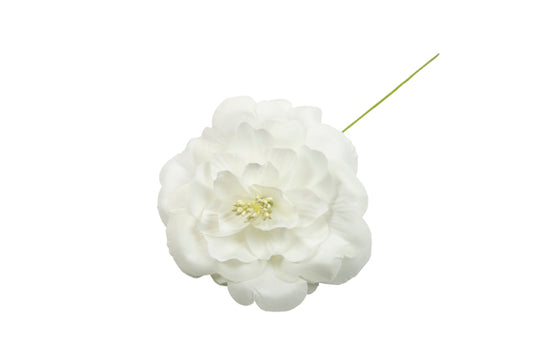 FIORE DALIA GRANDE*48-6 PANNA