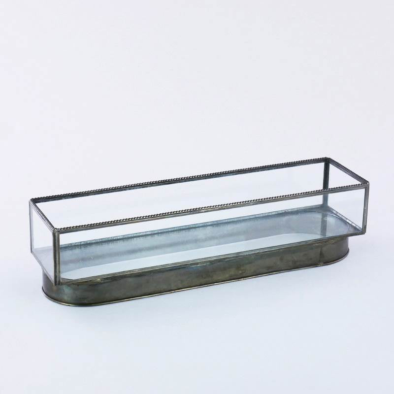 Terrarium 40X10X10Cm Vetro/Metallo