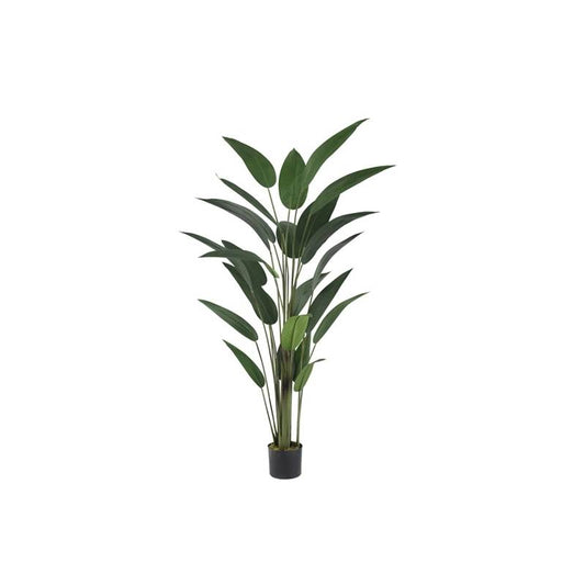 PIANTA UCCELLO DEL PARADISO H.182CM PVC