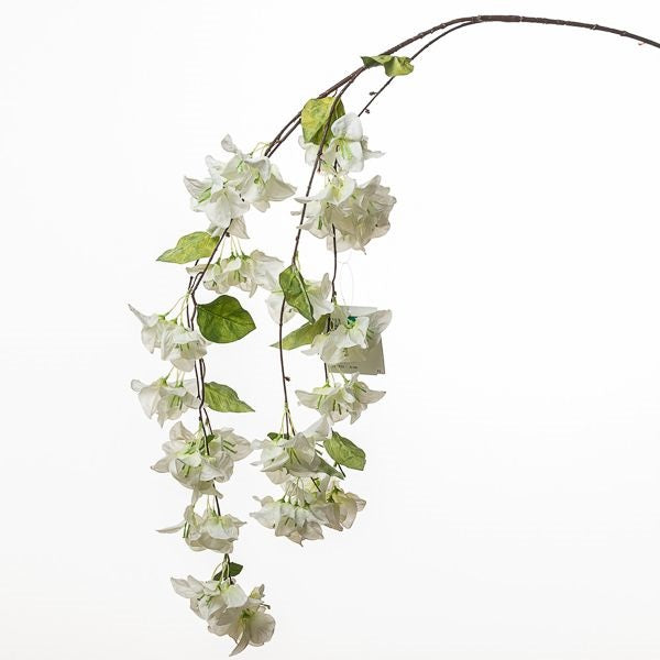 RAMO BOUGANVILLEA CM 150