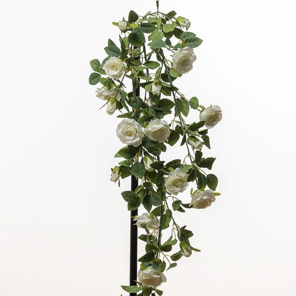CADENTE ROSE CM 110