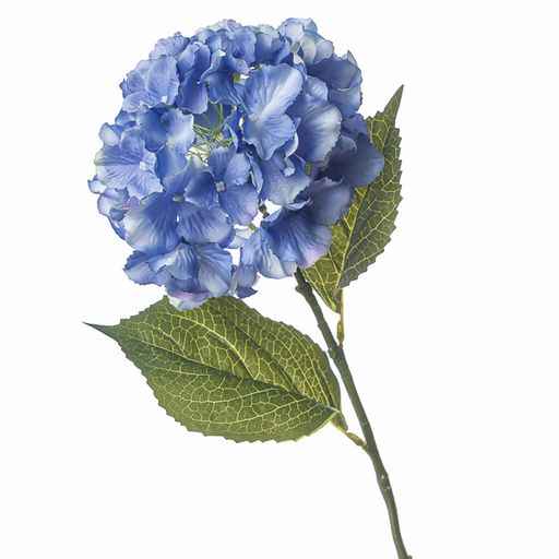RAMO ORTENSIA SINGOLA BLU