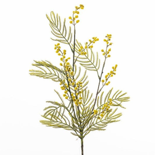 RAMO MIMOSA CM 77