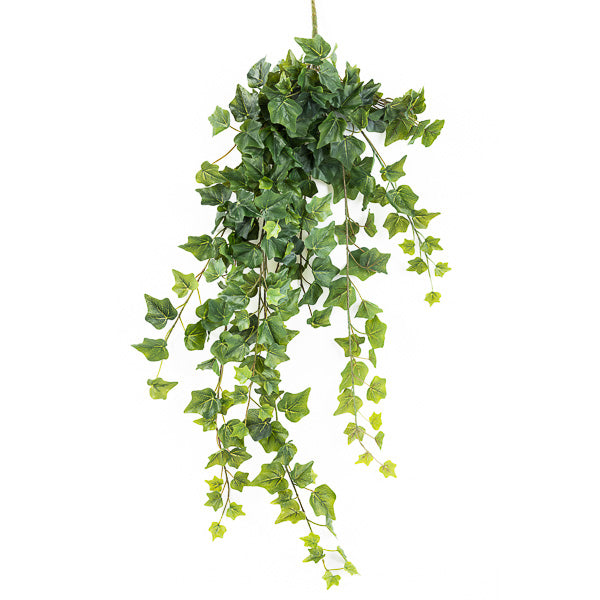 EDERA CADENTE L.100 CM C/244 FOGLIE